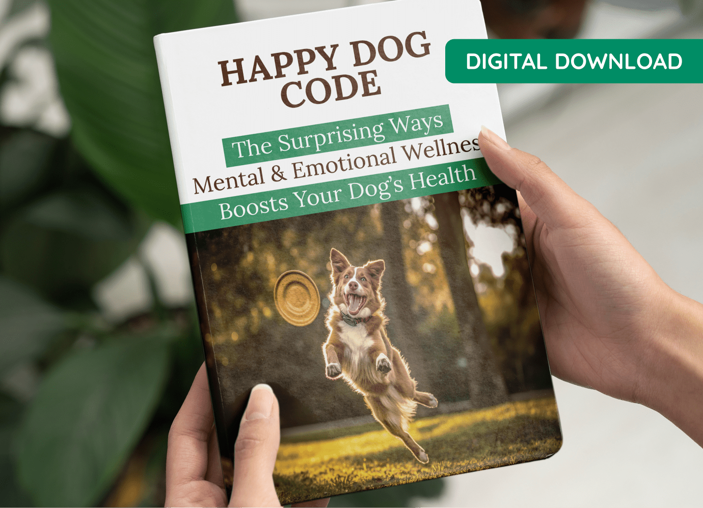 Pawbiotix Free Bonus3